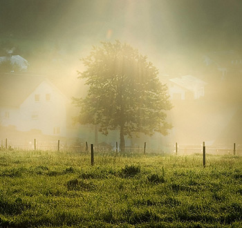 ddos压力在线测试平台