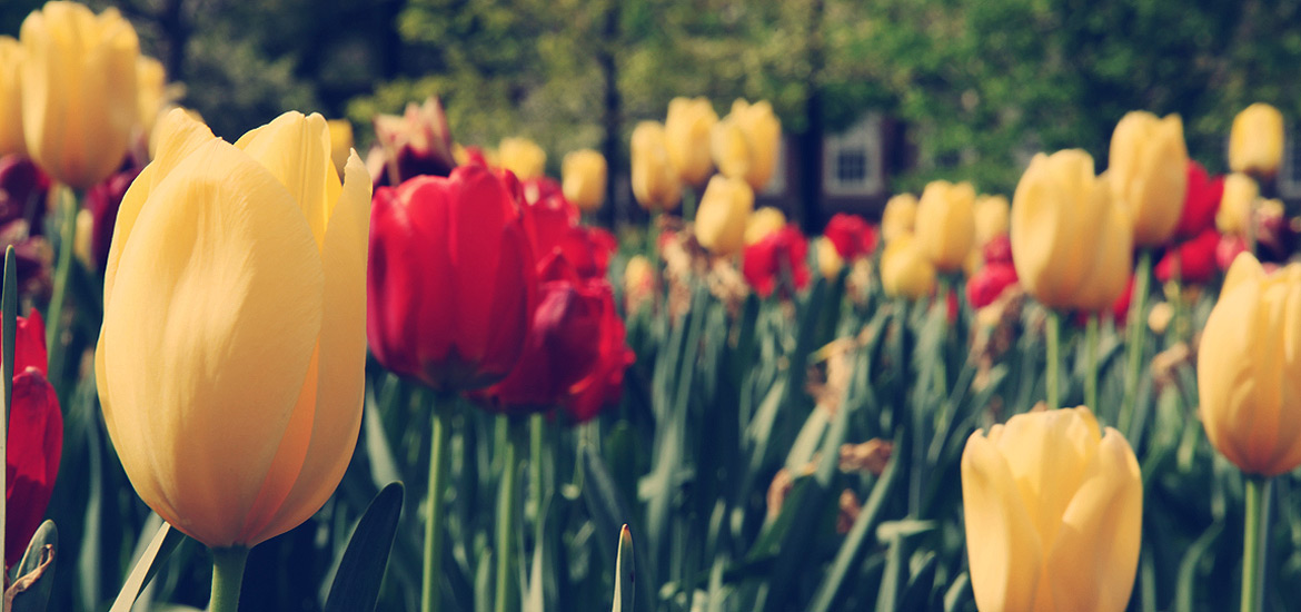 智能配置最优的ddos网页版